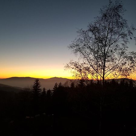 Mountain Cabin Pcim エクステリア 写真